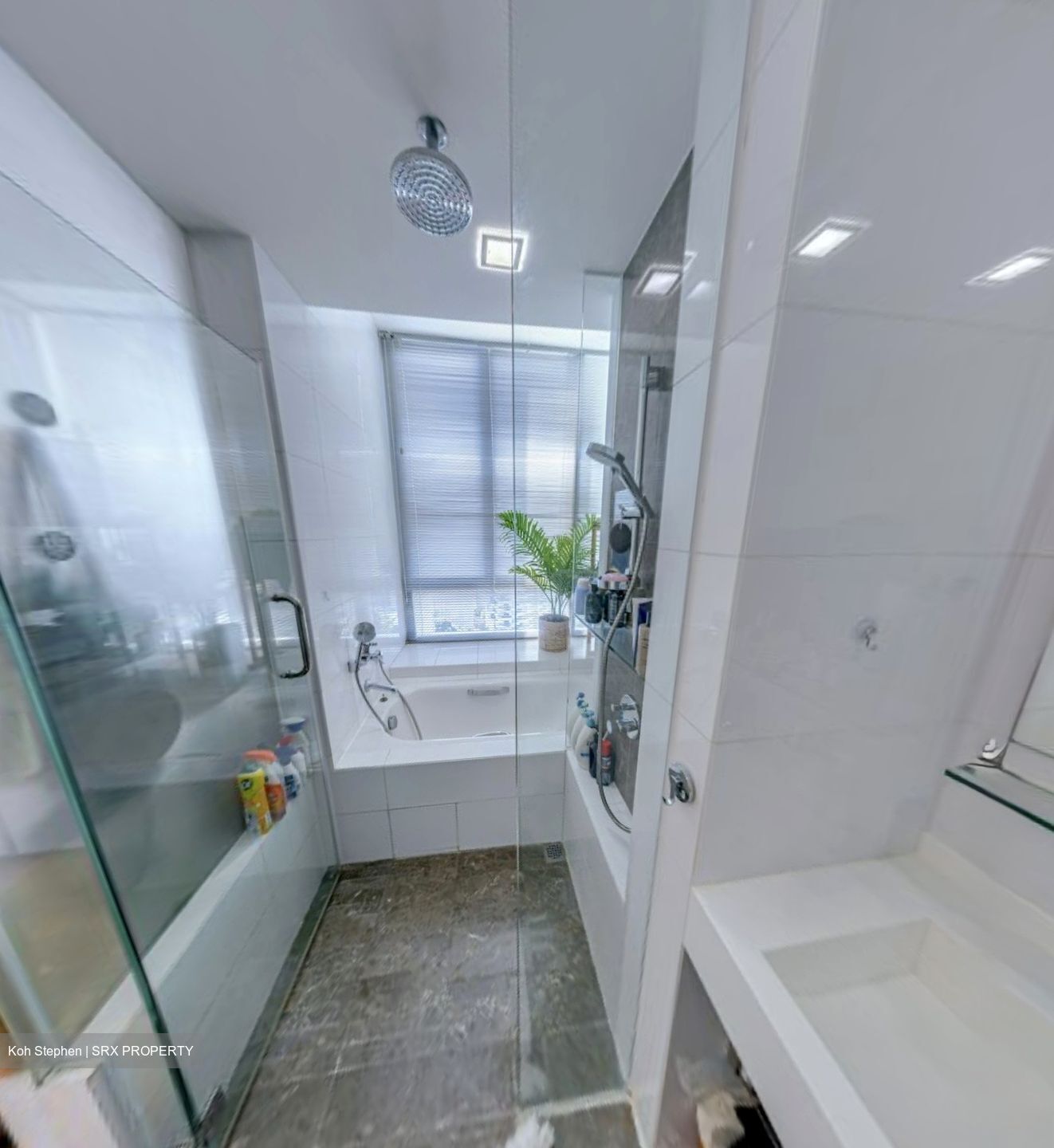 One Amber (D15), Condominium #548915711